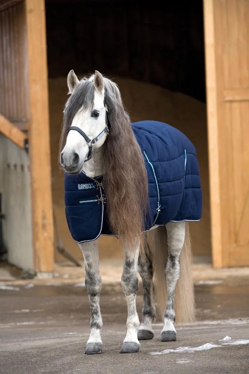 Staldeken Heavy 400gr Navy/Navy - 5.6 - Regendeken | Staldekens paard de Horseware en Bleu – photo produit