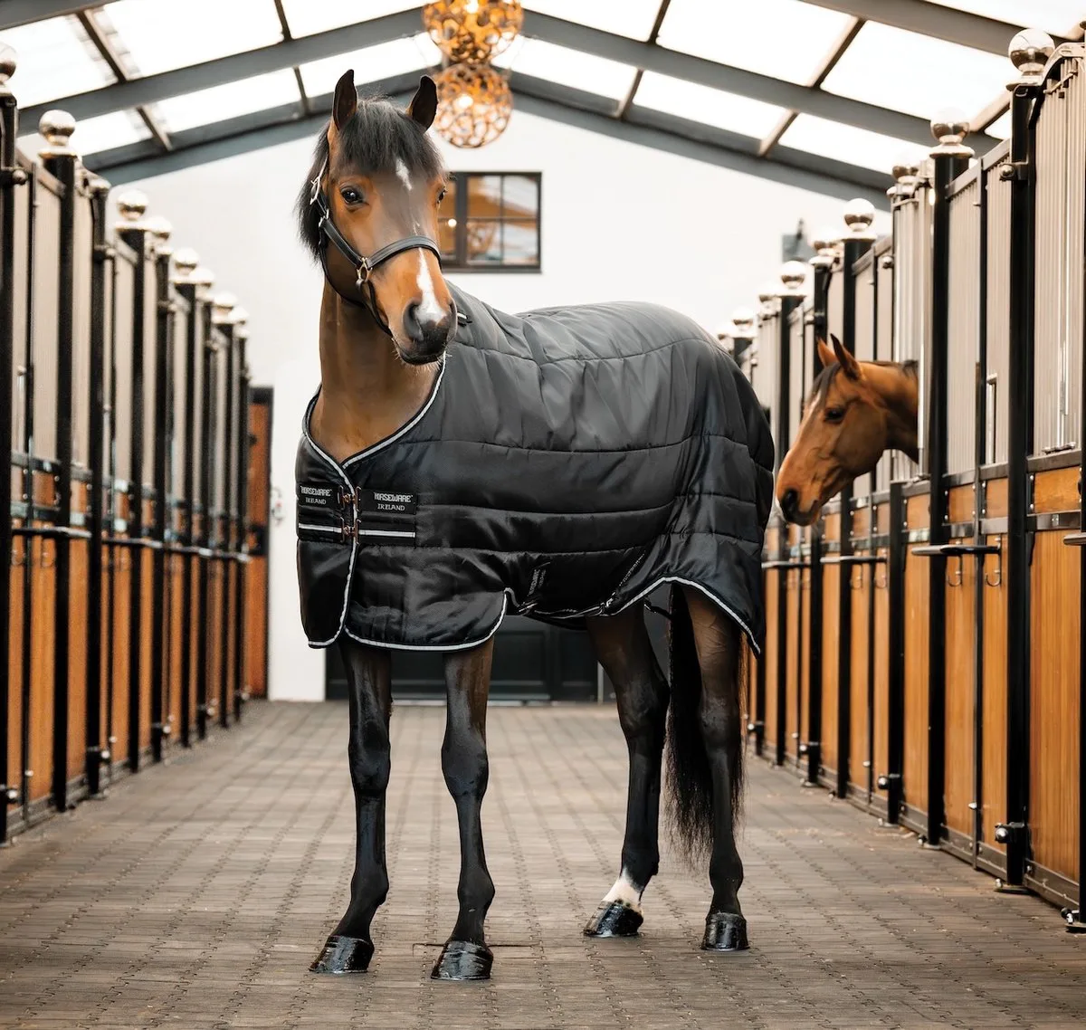 Staldeken Horseware Easy-layer 100gr - 130/183 by Horseware in Black – product photo