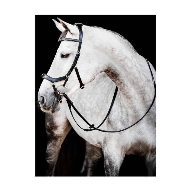 Trense Micklem Multi Bridle WB (Warmblut) by Horseware in Regular – product photo