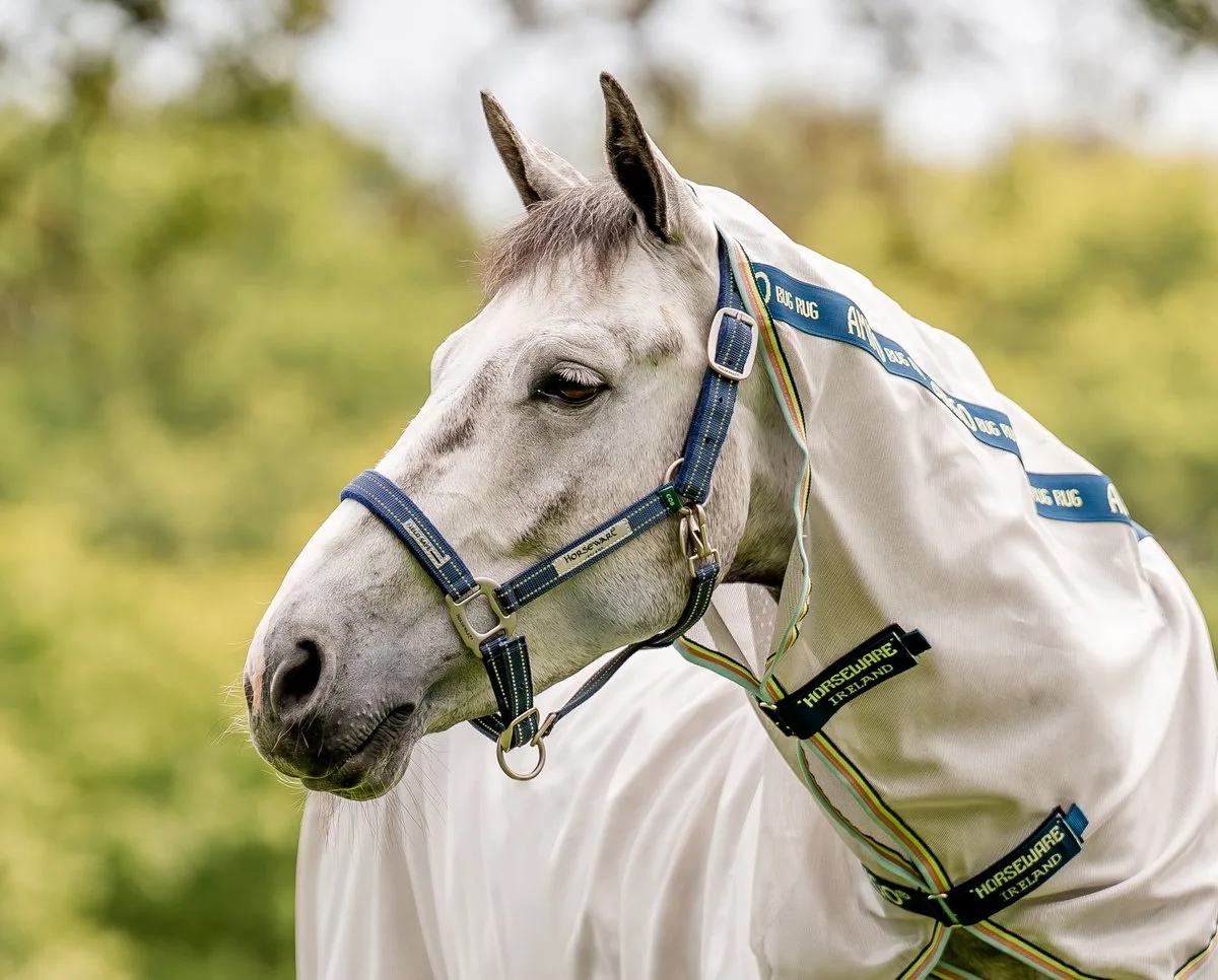 Veiligheidshalster Horseware Field Safe von Horseware in Dunkelblau – Produktfoto
