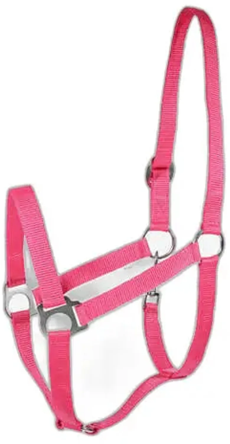 Basis halster voor paarden Horze van Horze in Aurora roze – productfoto