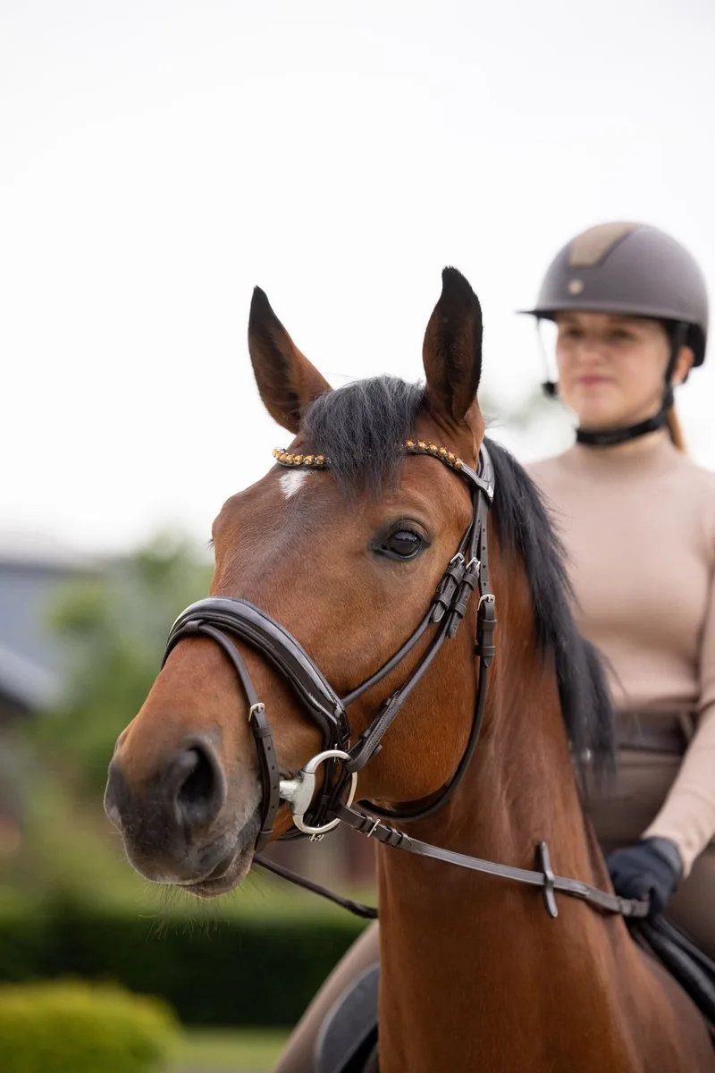 Clermont Anatomisch Hoofdstel, Warmblut de Horze en Dark Brown – photo produit