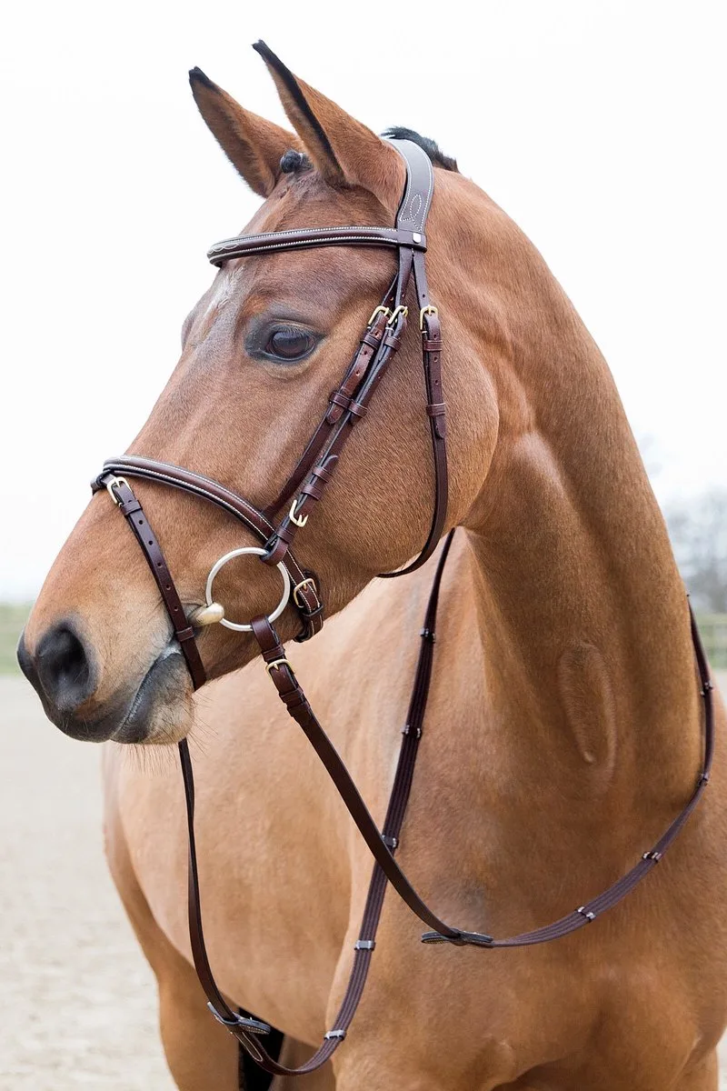 Constance Gevoerd Gecombineerd Hoofdstel, Großes Warmblut by Horze in Light Brown – product photo