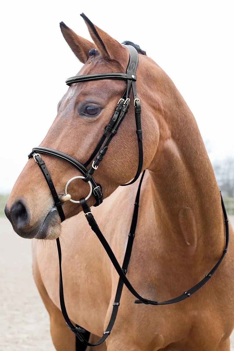 Constance Gevoerd Gecombineerd Hoofdstel, Vollblut by Horze in Black – product photo