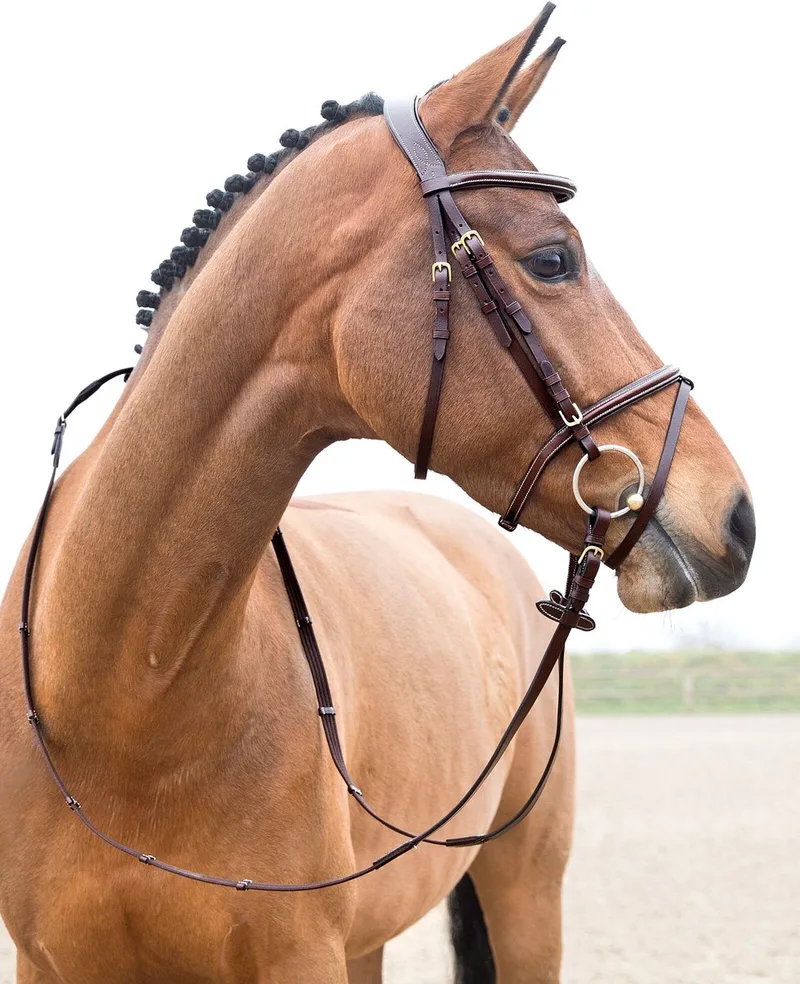 Constance Gevoerd Gecombineerd Hoofdstel, Warmblut by Horze in Light Brown – product photo