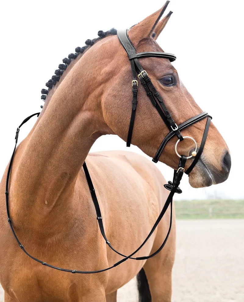 Constance Gevoerd Gecombineerd Hoofdstel, Warmblut de Horze en Noir – photo produit