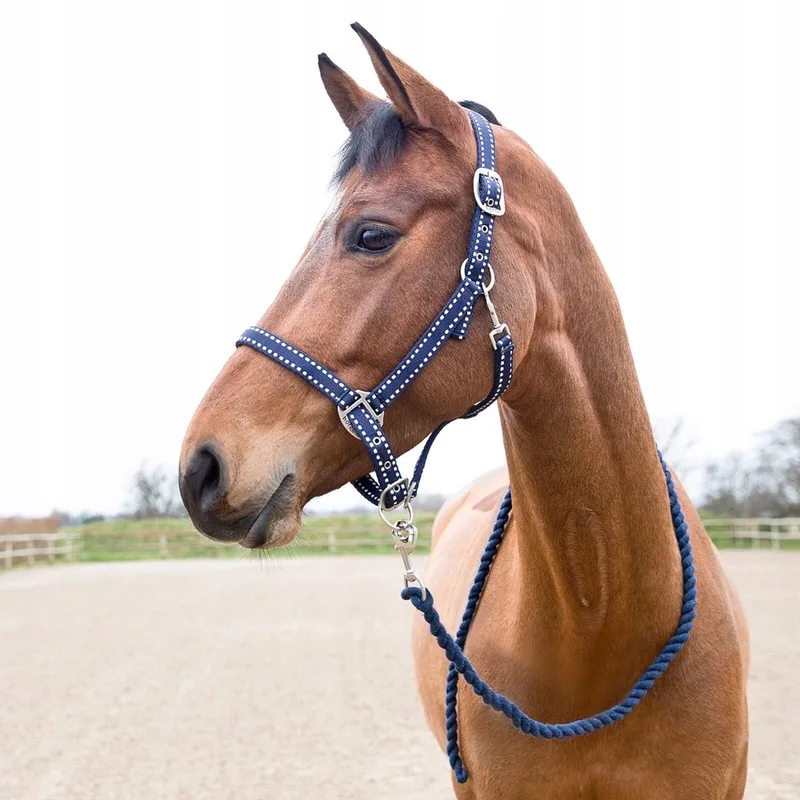Cooper Halster Volledig met Lijn by Horze in Navy Blauw – product photo