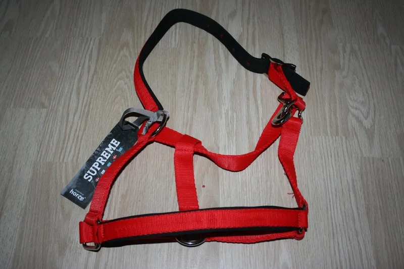 gevoerd halster - pony van Horze in Rood – productfoto