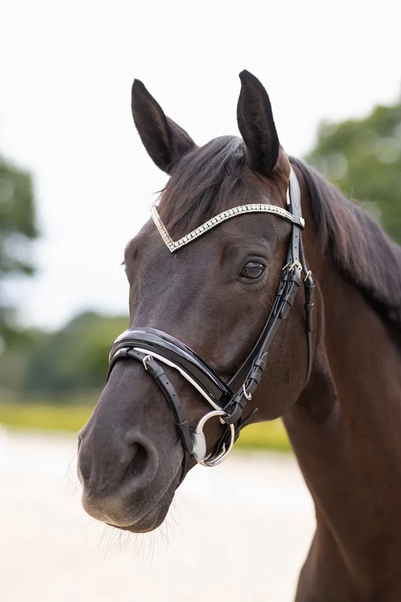 Grayson Anatomisch Trenshoofdstel, Pony von Horze in Schwarz – Produktfoto