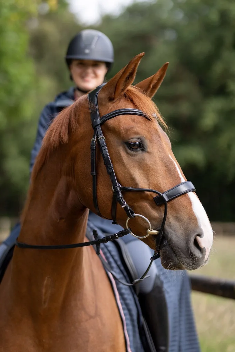 Hoofdstel Horze Chio, Pony by Horze in Black – product photo
