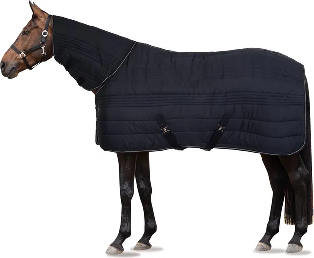 Kingsley Combo Staldeken met hals, 300 grams