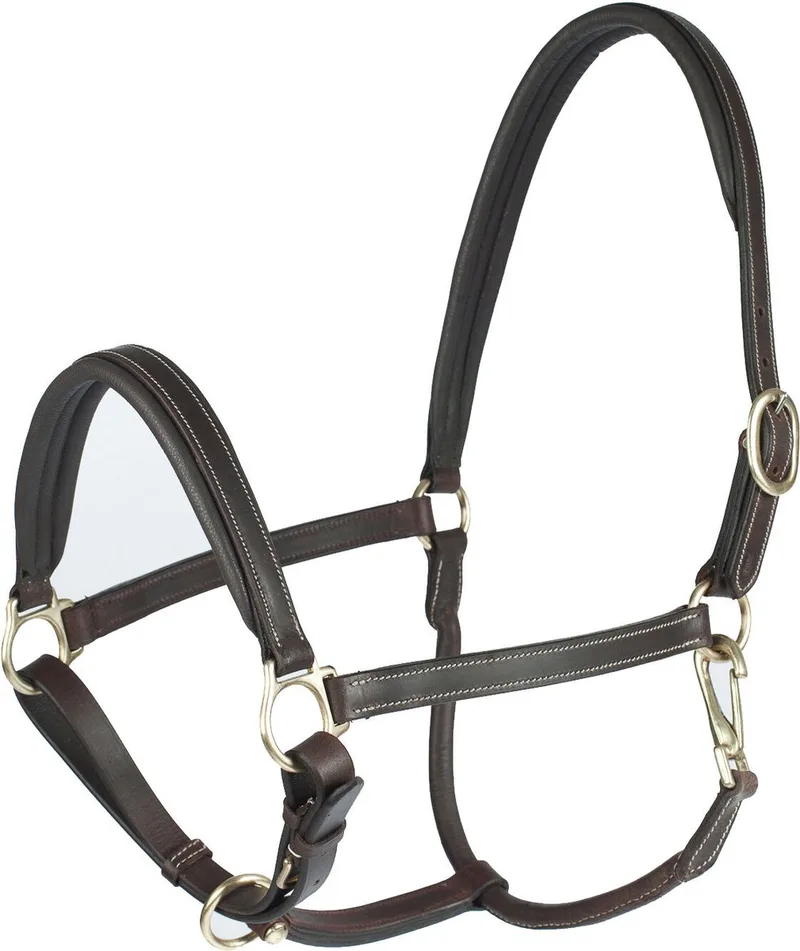 Largo Leren Halster, Vollblut de Horze en Dark Brown – photo produit