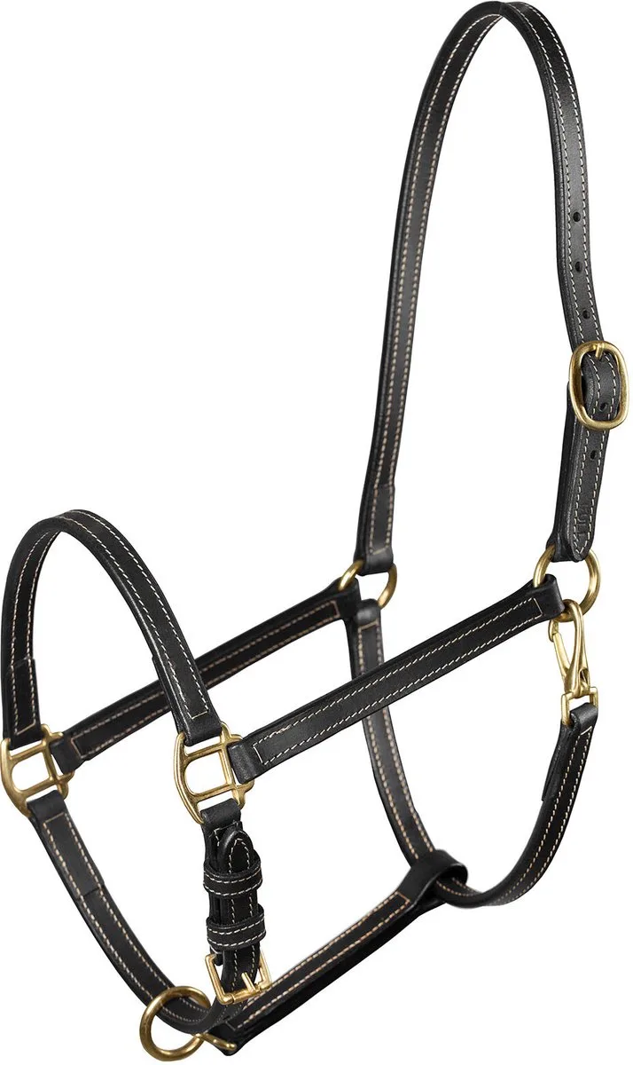 Leer Halster by Horze in Black – product photo