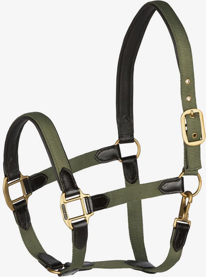 luxe halster leer / nylon - cob von Horze in Grün – Produktfoto