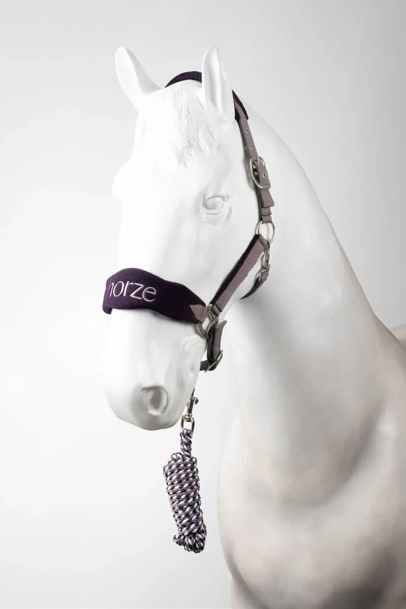 MAGIC hoofdstel met longeerlijn, maat Cob, mauve de Horze – photo produit