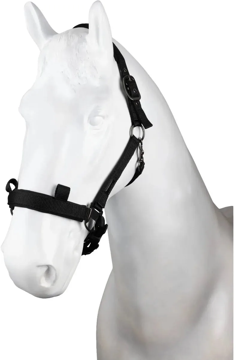 Nylon halster Horze Control by Horze in Black – product photo
