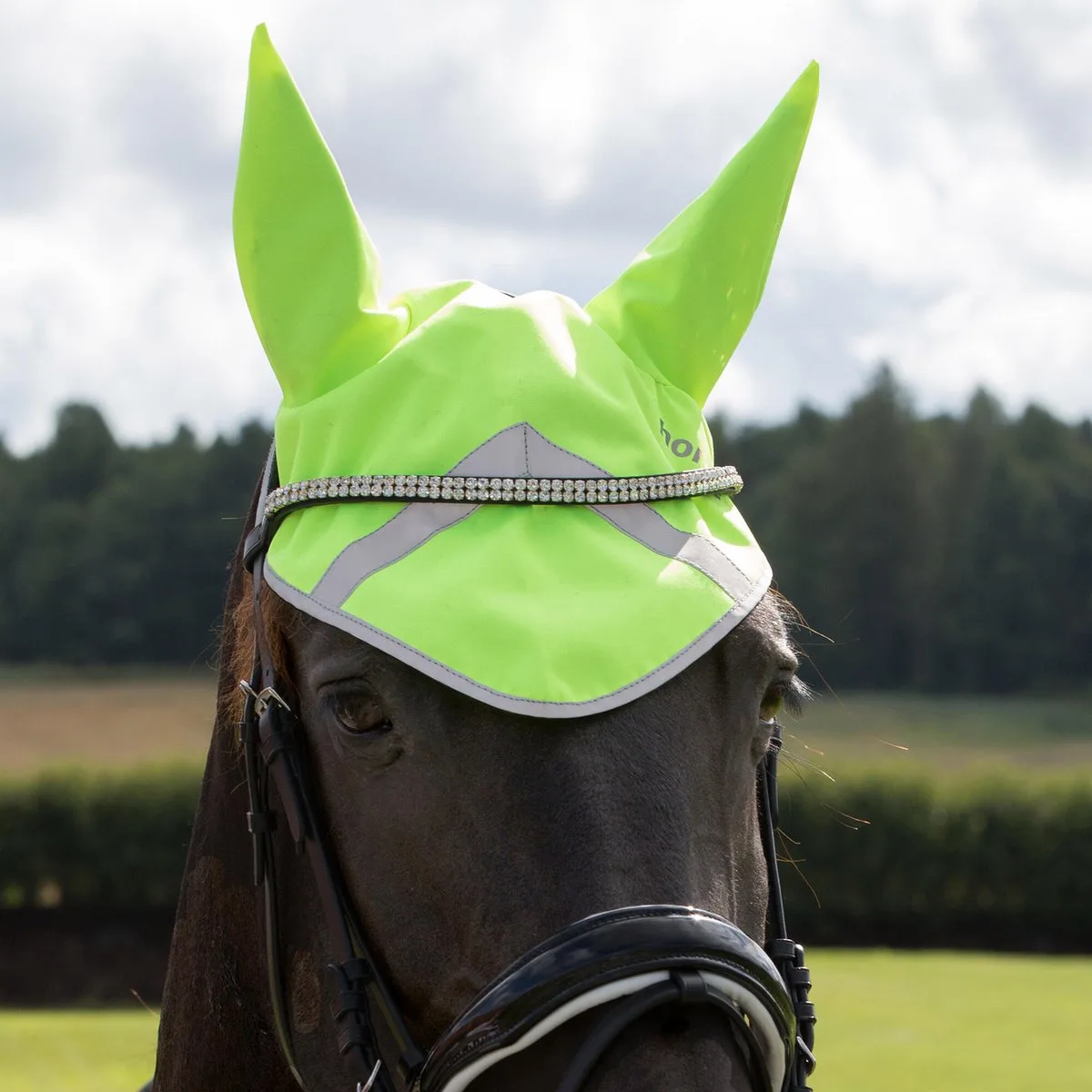 oornet Reflectie - fluorescerend - maat pony by Horze in Yellow – product photo