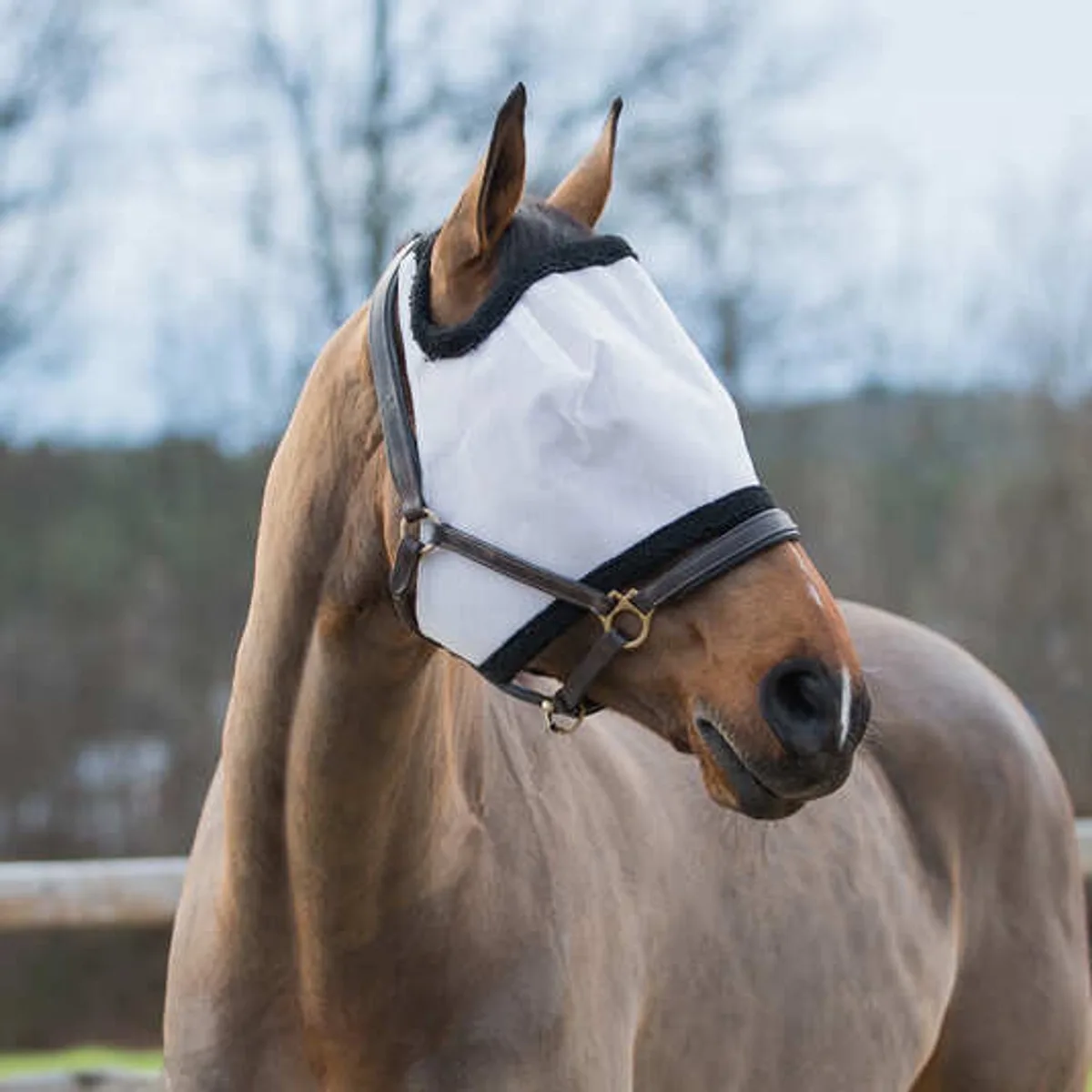 Paardenmuts met Anti-Vliegenmasker Horze van Horze – productfoto