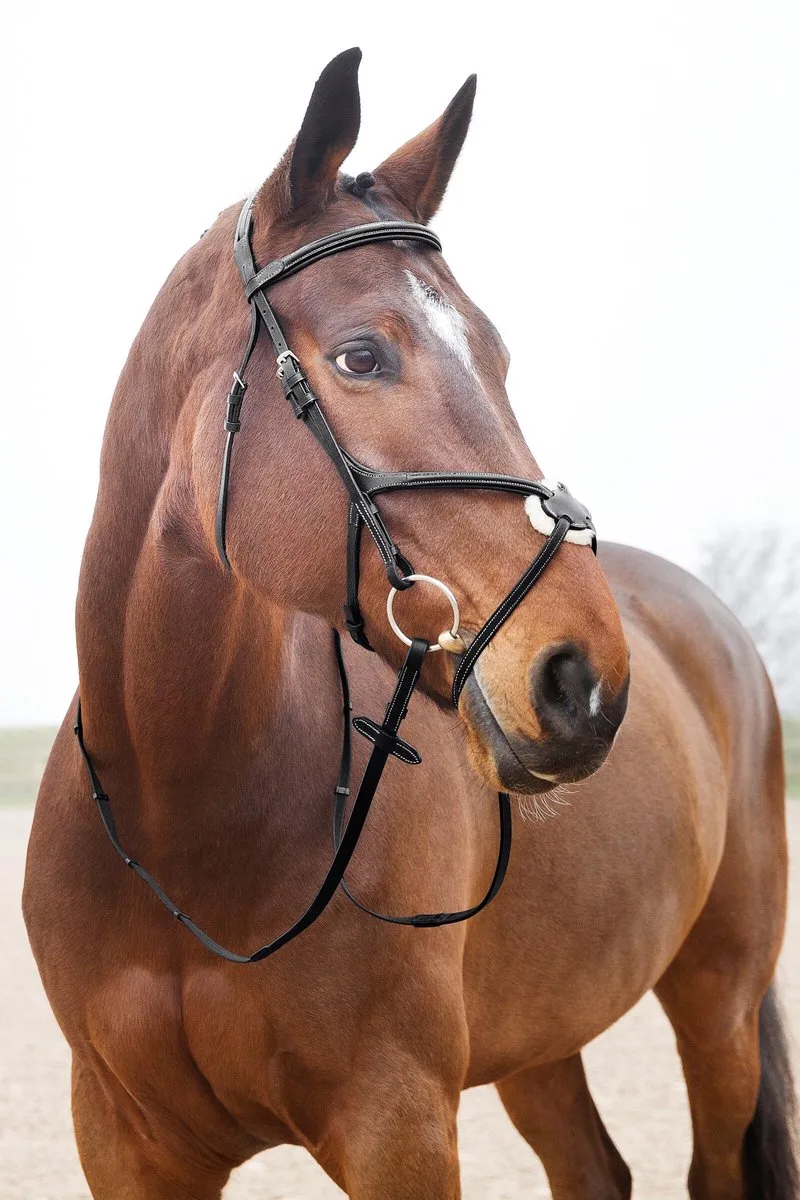 Prescott Mexicaanse Neusriem Hoofdstel, Pony von Horze in Schwarz – Produktfoto