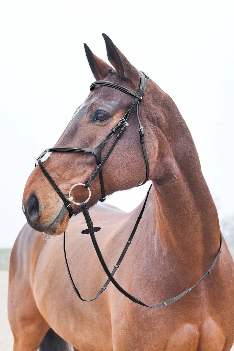 Prescott Mexicaanse Neusriem Hoofdstel, Warmblut by Horze in Black – product photo