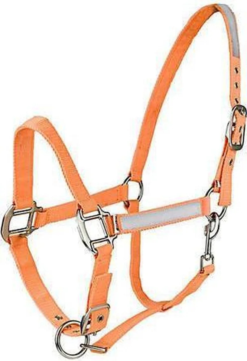 Reflecterende Halster Cob by Horze in Orange – product photo