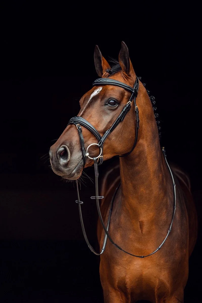 Sion Hoofdstel met Teugels, Vollblut by Horze in Black – product photo