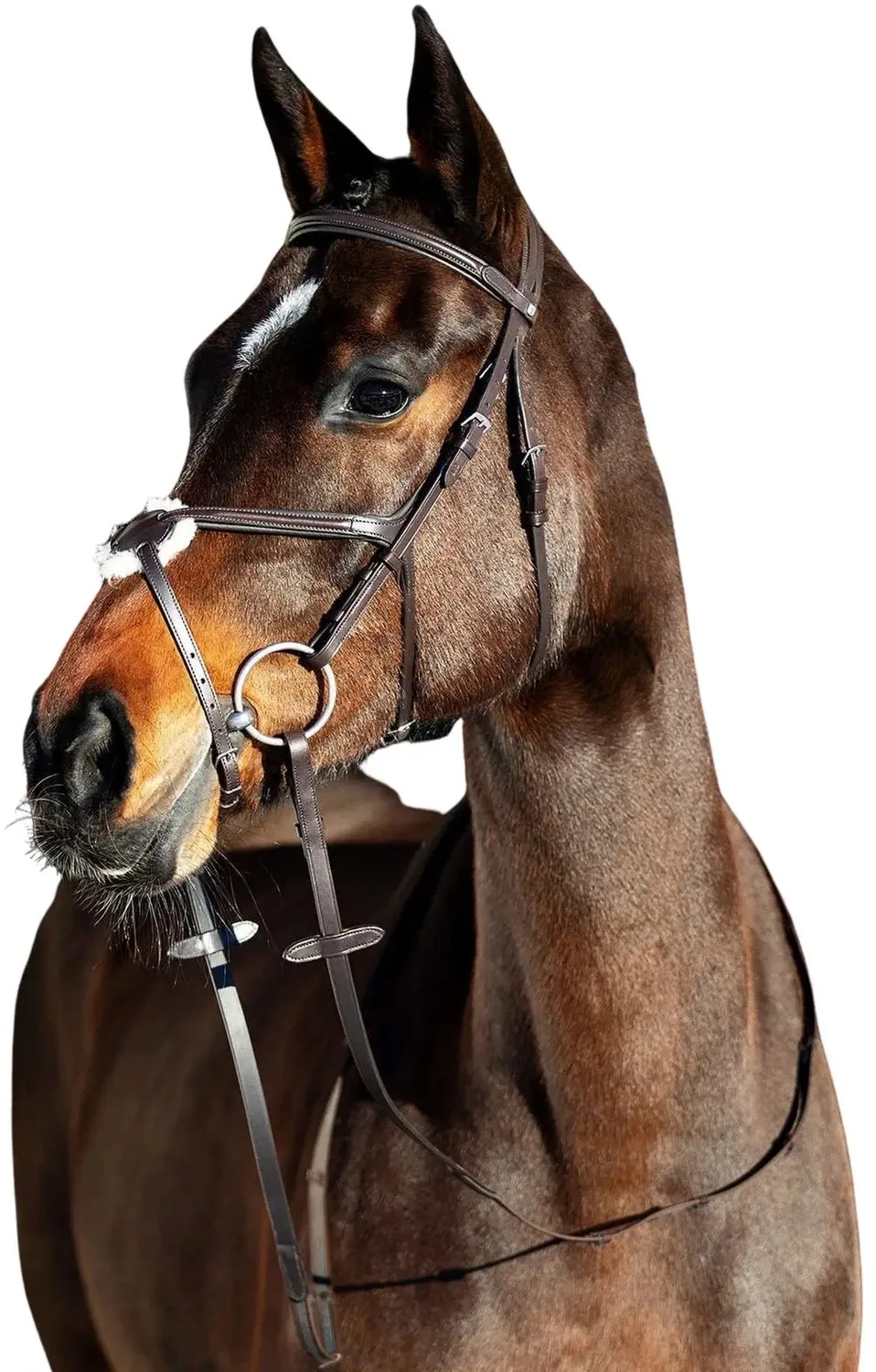 Snaffle hoofdstellen voor gekruiste paarden Horze Prescott van Horze in Brokaat bruin – productfoto