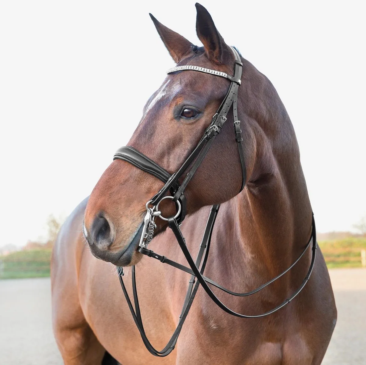 Stang en trenshoofdstel Laelia - full fra Horze i Sort – produktbillede