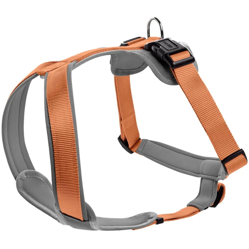 Geschirr Neopren schwarz/ orange L by Hunter in Black, Orange, Regular – product photo