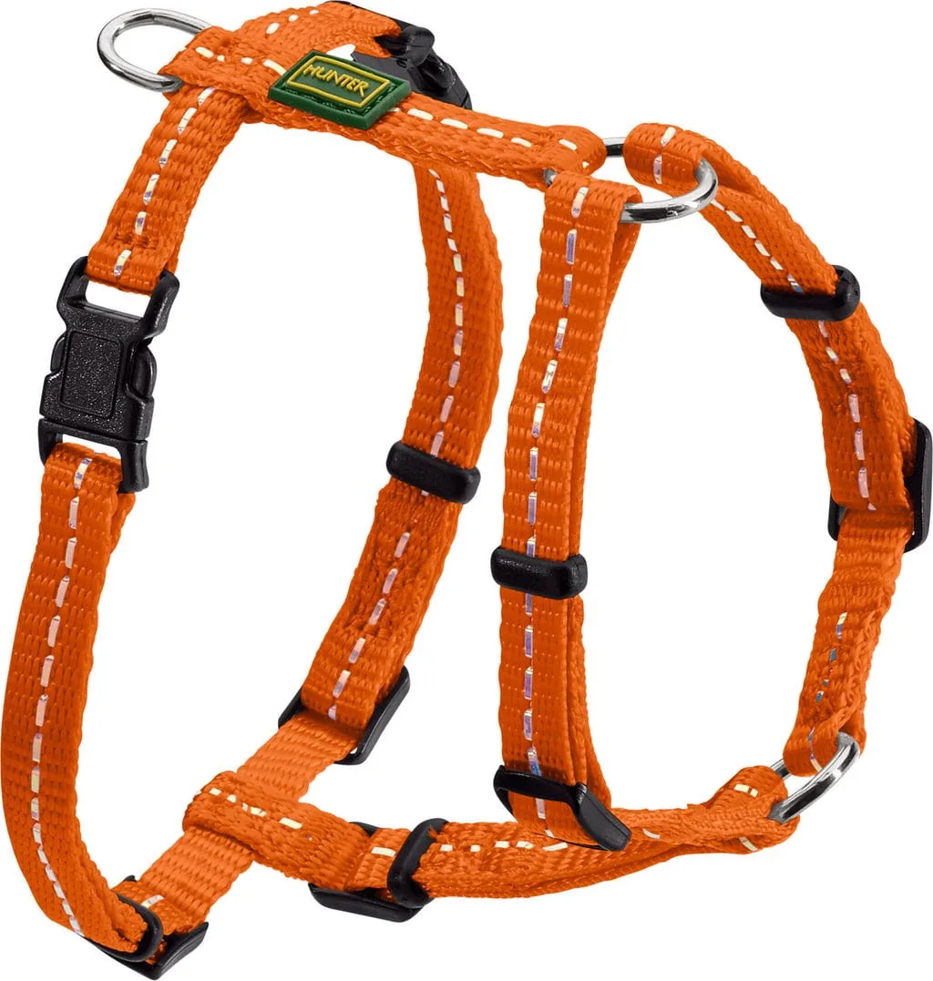 Geschirr Tripoli, orange - S de Hunter – photo produit