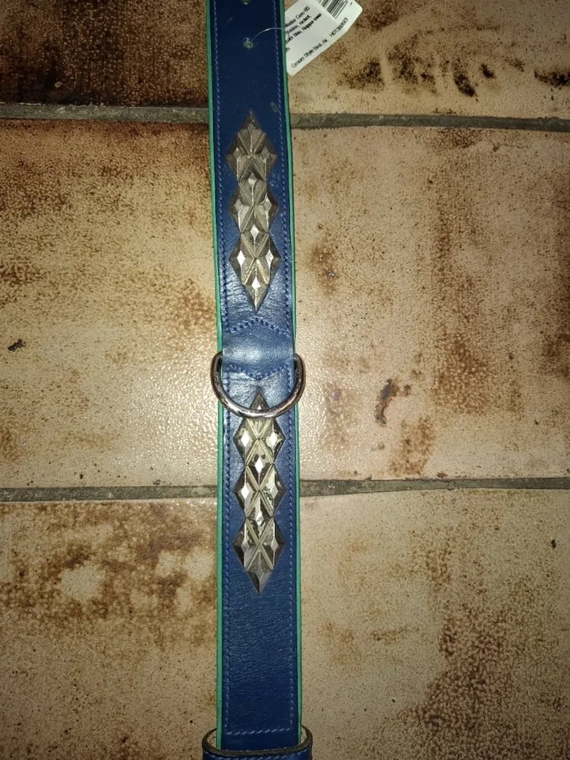Halsband hond master geo 60 cm met nikkel versieringen de Hunter en Bleu – photo produit