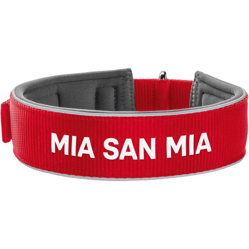 Halsband Neopren FC Bayern München 60 cm van Hunter in Regular – productfoto