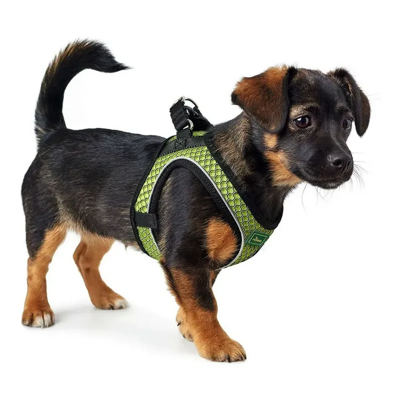 Pet Harnais Pour Chien Comfort Yarn de Hunter – photo produit 2 sur 2