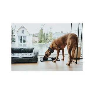 Mangeoire Pour Chien 1230882 fra Hunter – produktbillede 2 af 2