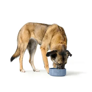 Pet Mangeoire Pour Chien Osby Glazed de Hunter en Bleu – photo produit 2 sur 4
