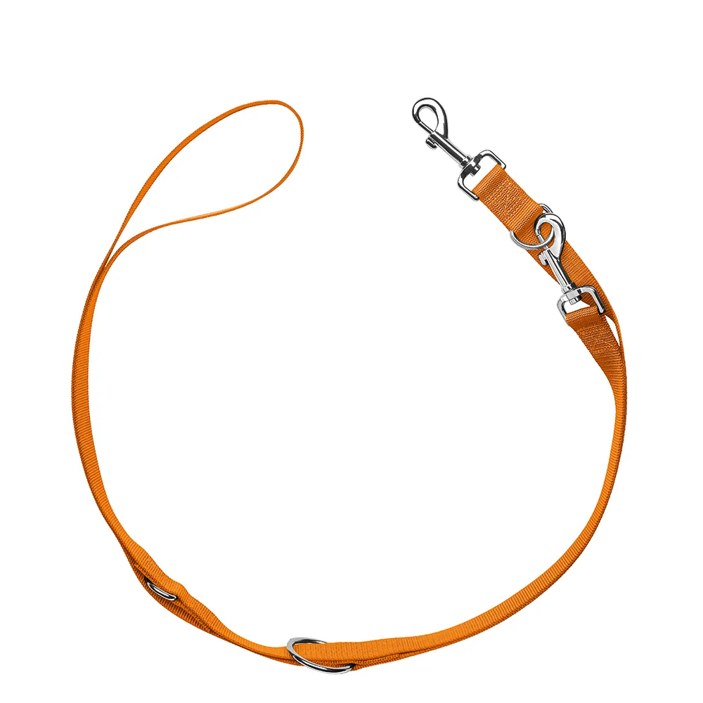Set: Halsband London M + riem London 200cm/10mm, oranje by Hunter – product photo
