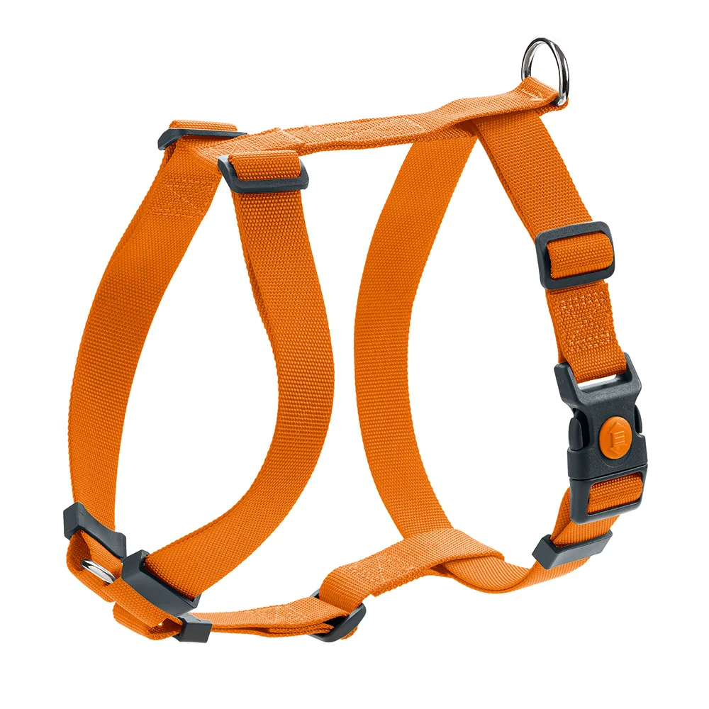 Set: Tuig London Vario Rapid M + riem London 200cm/15mm, oranje van Hunter – productfoto