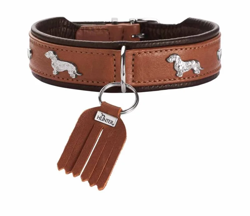 Teckel Halsband München Maat 32 de Hunter en Cognac – photo produit