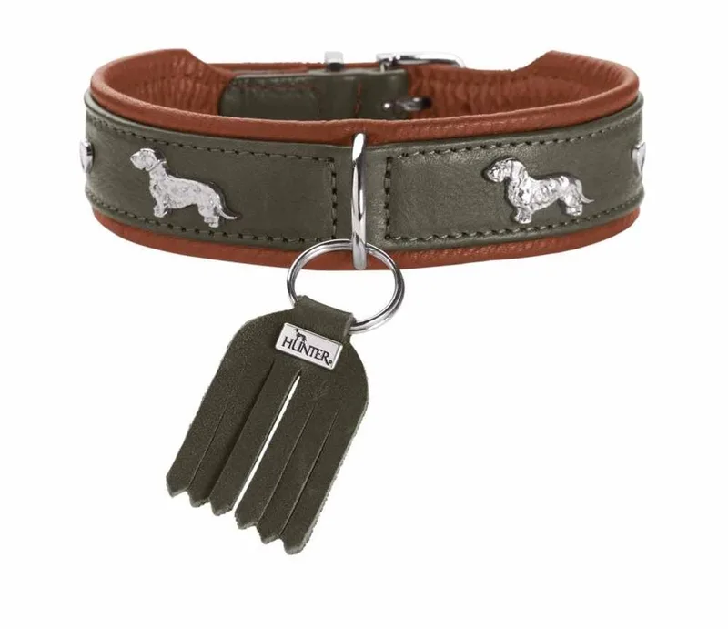 Teckel Halsband München Maat 32 by Hunter in Green – product photo
