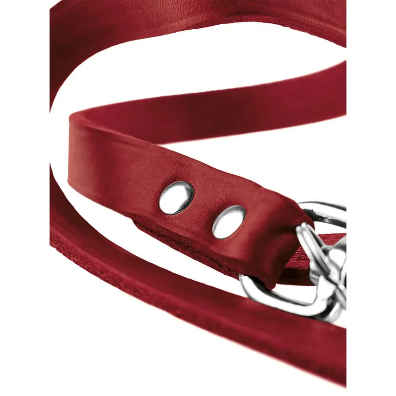 Verstelbare Looplijn Leder - Hondenriem - 200x1.3 cm by Hunter in Red – product photo 2 of 2