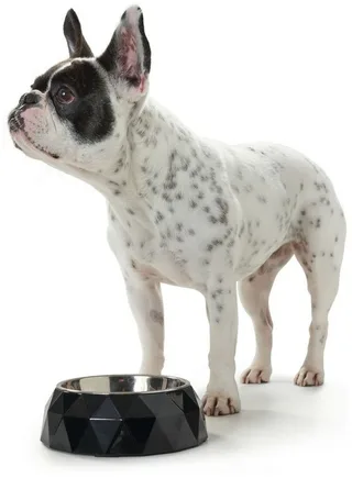 Voerbak voor honden Hunter Kimberley Melamine Roestvrij staal Driehoekig (22,5 x 22,5 x 4,5 cm) fra Hunter i Sort – produktbillede 1 af 2