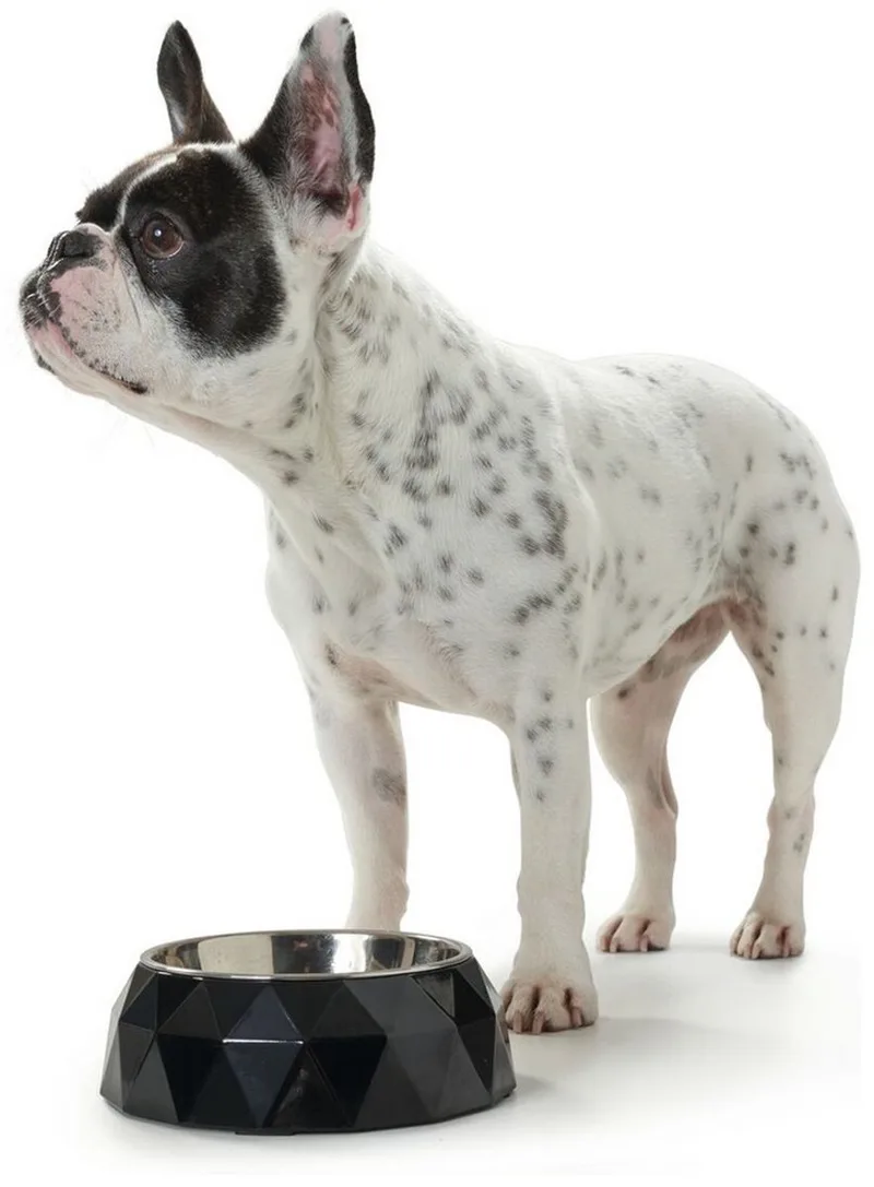 Voerbak voor honden Hunter Kimberley Melamine Roestvrij staal Driehoekig (22,5 x 22,5 x 4,5 cm) fra Hunter i Sort – produktbillede 1 af 2
