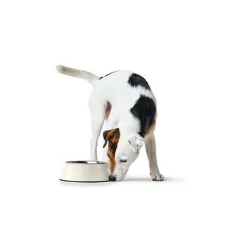 Voerbak voor honden Hunter Zwart 1,4 L Melamine by Hunter in White – product photo 2 of 3