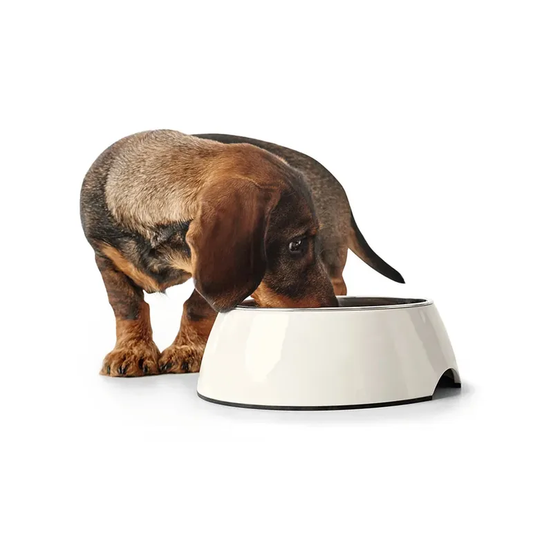 Voerbak voor honden Hunter Zwart 1,4 L Melamine by Hunter in White – product photo 3 of 3