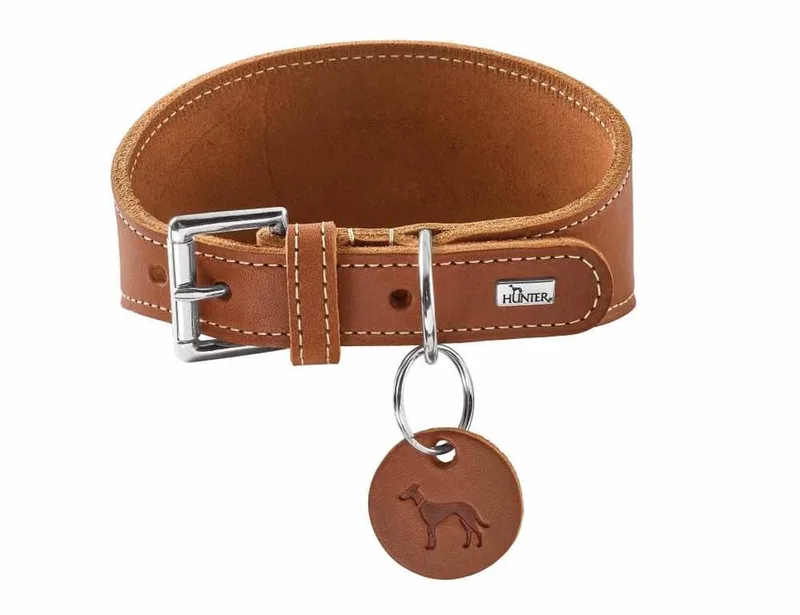 Windhonden Halsband Aalborg Maat 37 von Hunter in Cognac – Produktfoto