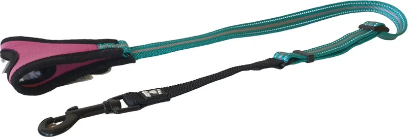 Jogging Hondenlijn / Hondenriem - Nylon - Neopreen greep - Turquoise / Fuchsia - Reflecterend - Breedte 20 mm - Lengte 60 - 90 cm (verstelbaar) de Hurtta en Turquoise, Fuchsia – photo produit