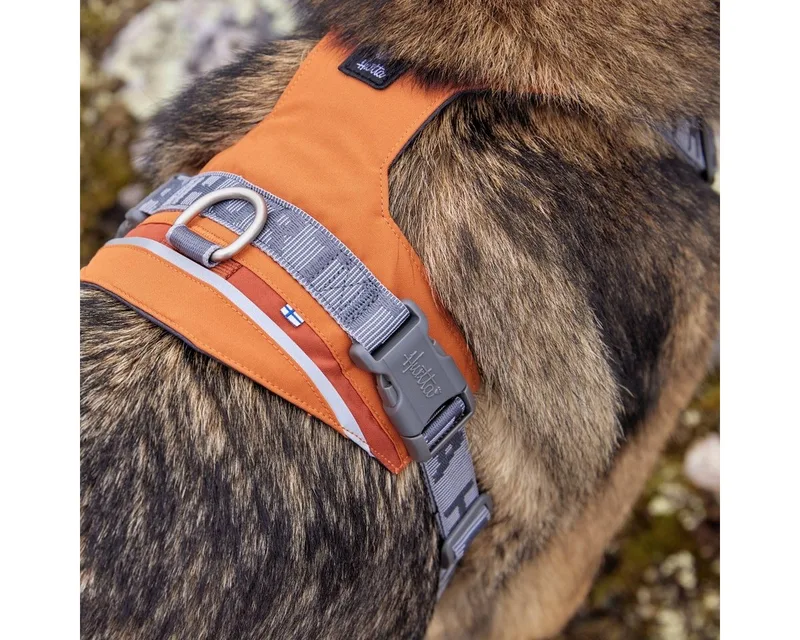 Rover Harnas - Cinnamon - 45-60 cm by Hurtta in Kaneel – product photo 2 of 5