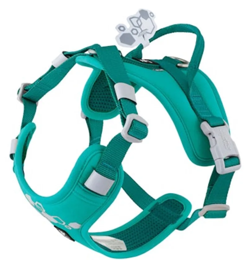 Weekend Warrior Eco Harness 2 - 55-70 cm fra Hurtta i Peacock – produktbillede