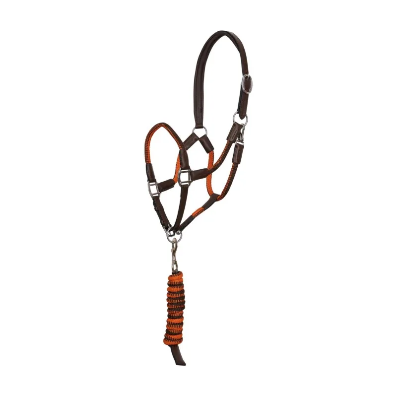Halfterset HVPFranka mit Strick WB (Warmblut) von HV Polo in Regular – Produktfoto