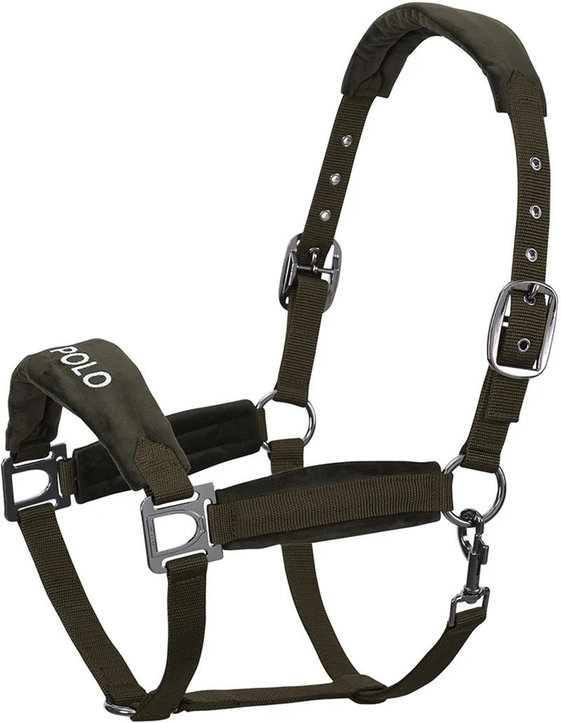 Halster Hv Polo Hvpluxury by HV Polo in Dark green – product photo